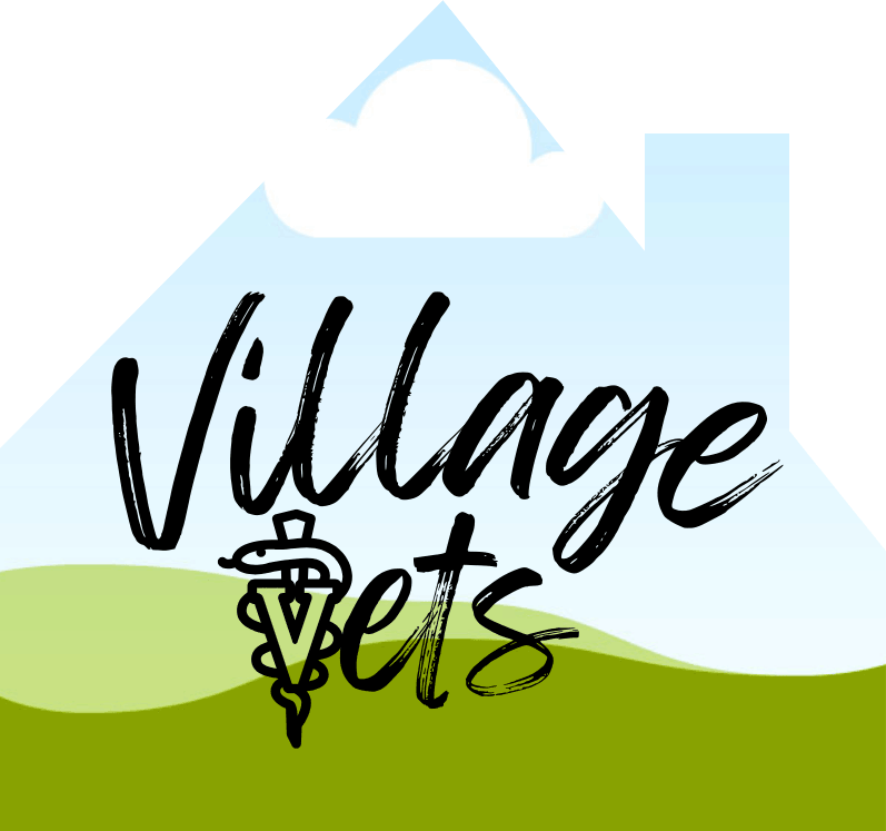 Village Vets